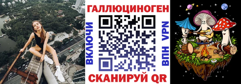 mega как войти  Вышний Волочёк  Галлюциногенные грибы Magic Shrooms  где найти наркотики 